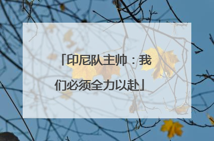 印尼队主帅：我们必须全力以赴